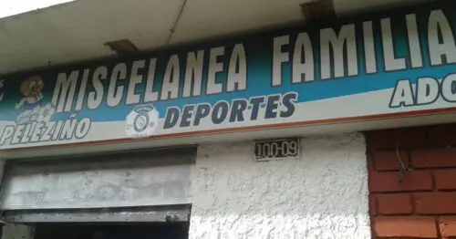 MISCELANIA FAMILIA MISCELANIA FAMILIA